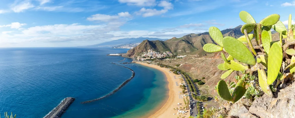 tenerife south airport transfers